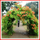 arbor-and-archway-in-garden02