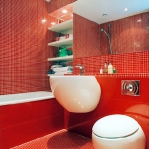 bathroom-in-red-floor-and-decor4.jpg