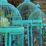 flowers-in-bird-cages-ideas3-4-5.jpg