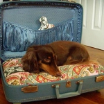 simple-diy-ideas-small-doggie-beds-in-suitcase4